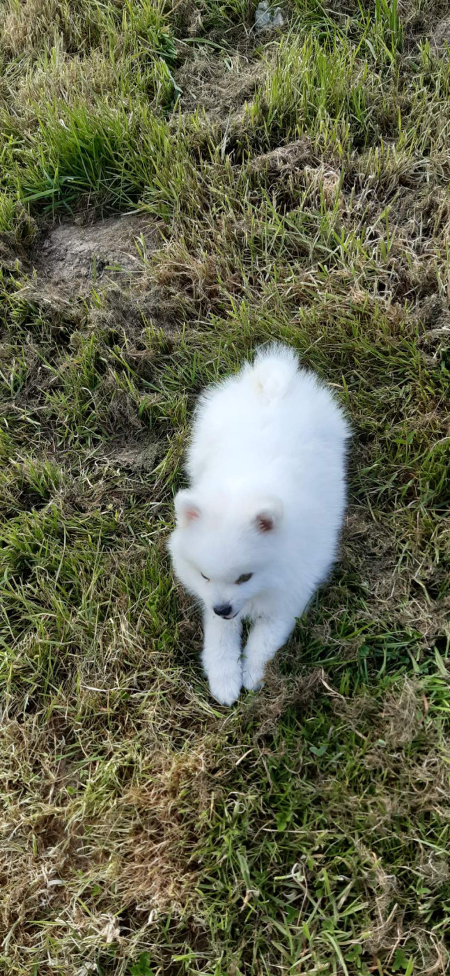 rylen de jerry black